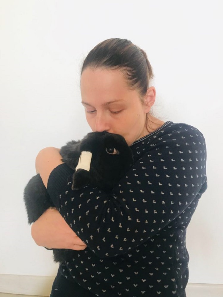 Photo d'un lapin nommé Stitch